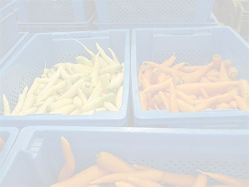 ألياف السيراميك السائبة